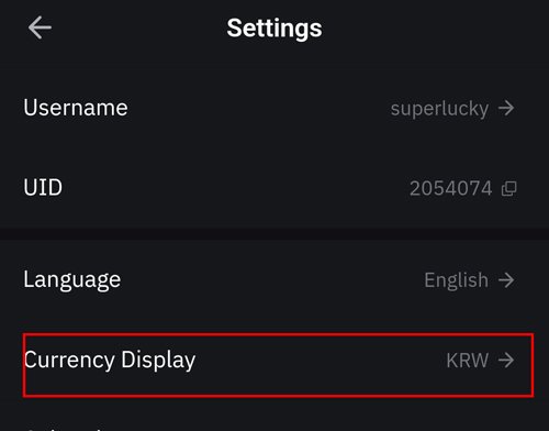 bybit Surrency Display