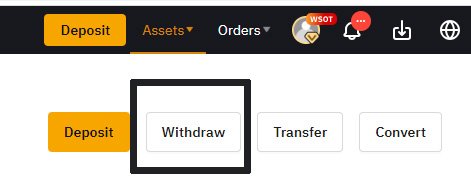 bybit withdraw