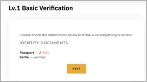 Basic Verivication