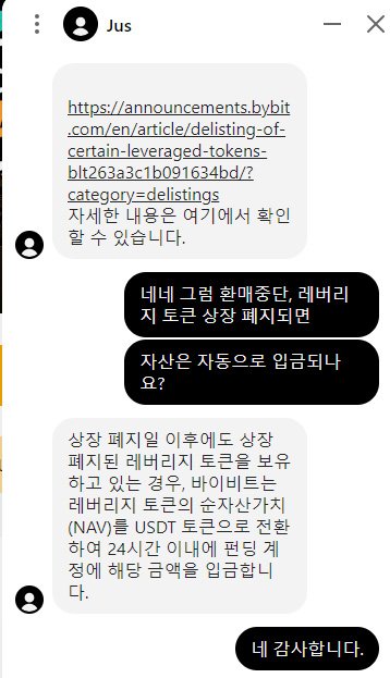 바이비트 레버리지 토큰