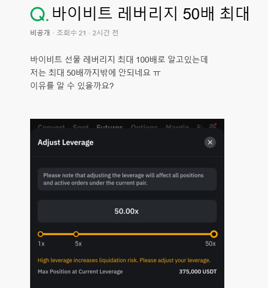 바이비트 최대 레버리지 100배